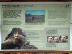 01-The sign for Lonesome George